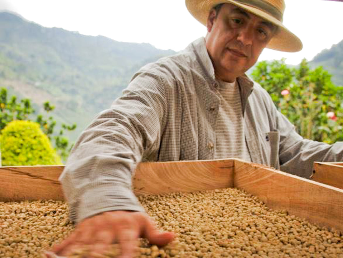 Café Granja La Esperanza - Rigoberto Herrera