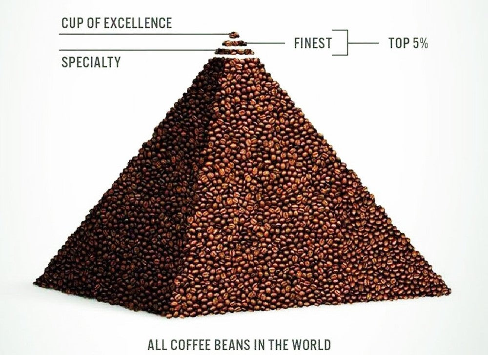 Šta je to specialty coffee i kako je dospeo u Srbiju?