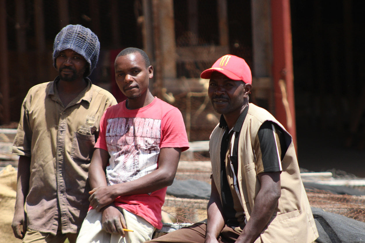 Three men standing together outdoors on coffee farm in Kenya, with one wearing a red cap and another in a pink shirt.