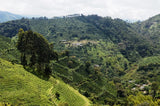 Cafe Granja La Esperanza